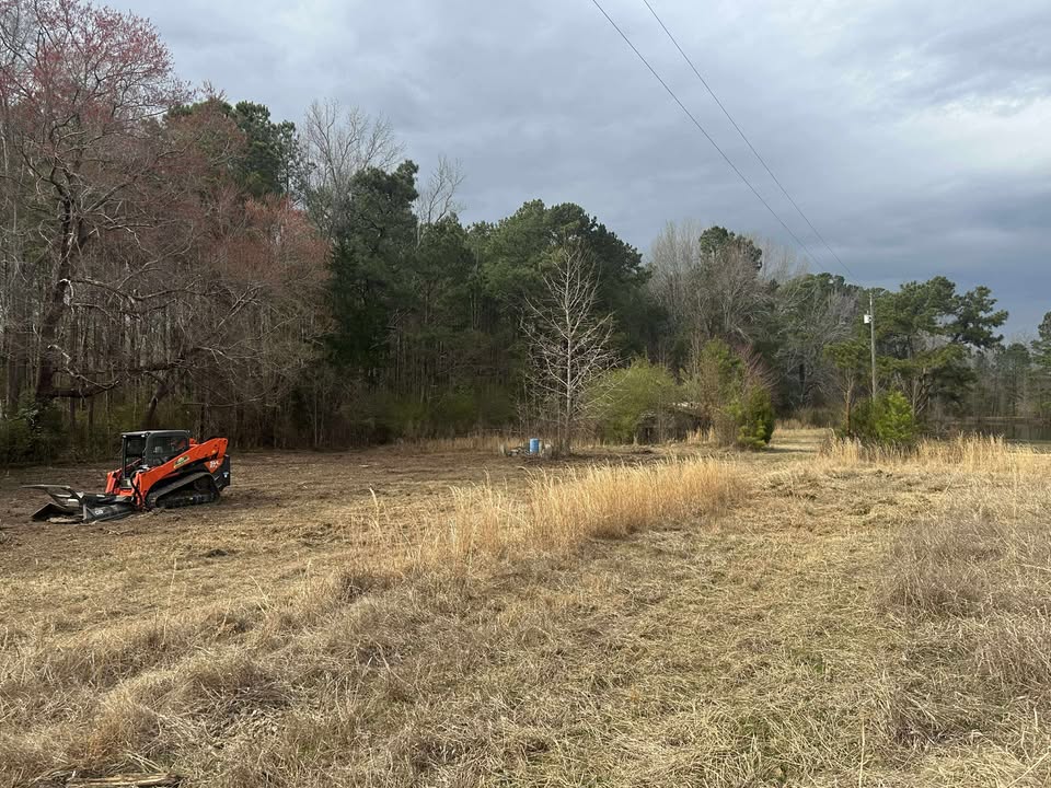 Forest Road Construction